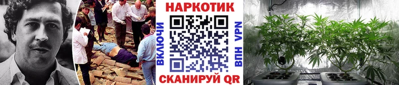 Наркошоп купить Alpha PVP  МАРИХУАНА  Мефедрон  ГАШ  КОКАИН  Княгинино