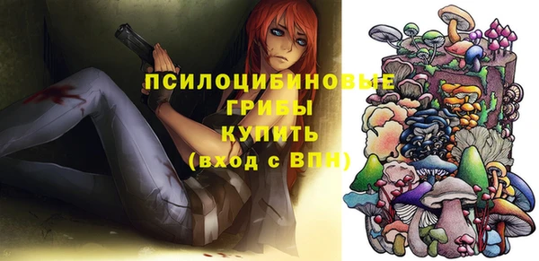 кокс Каменка